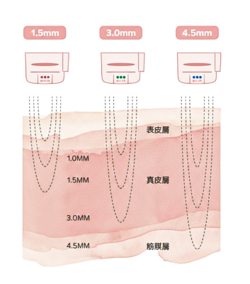 美音作用圖去背